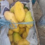 ضبط ۷۰ کیلوگرام میوه آم قاچاق در تورخم