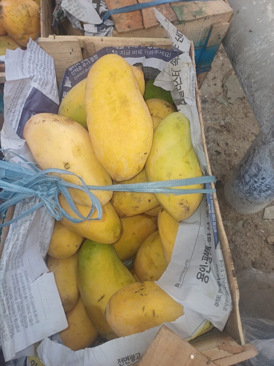 ضبط ۷۰ کیلوگرام میوه آم قاچاق در تورخم